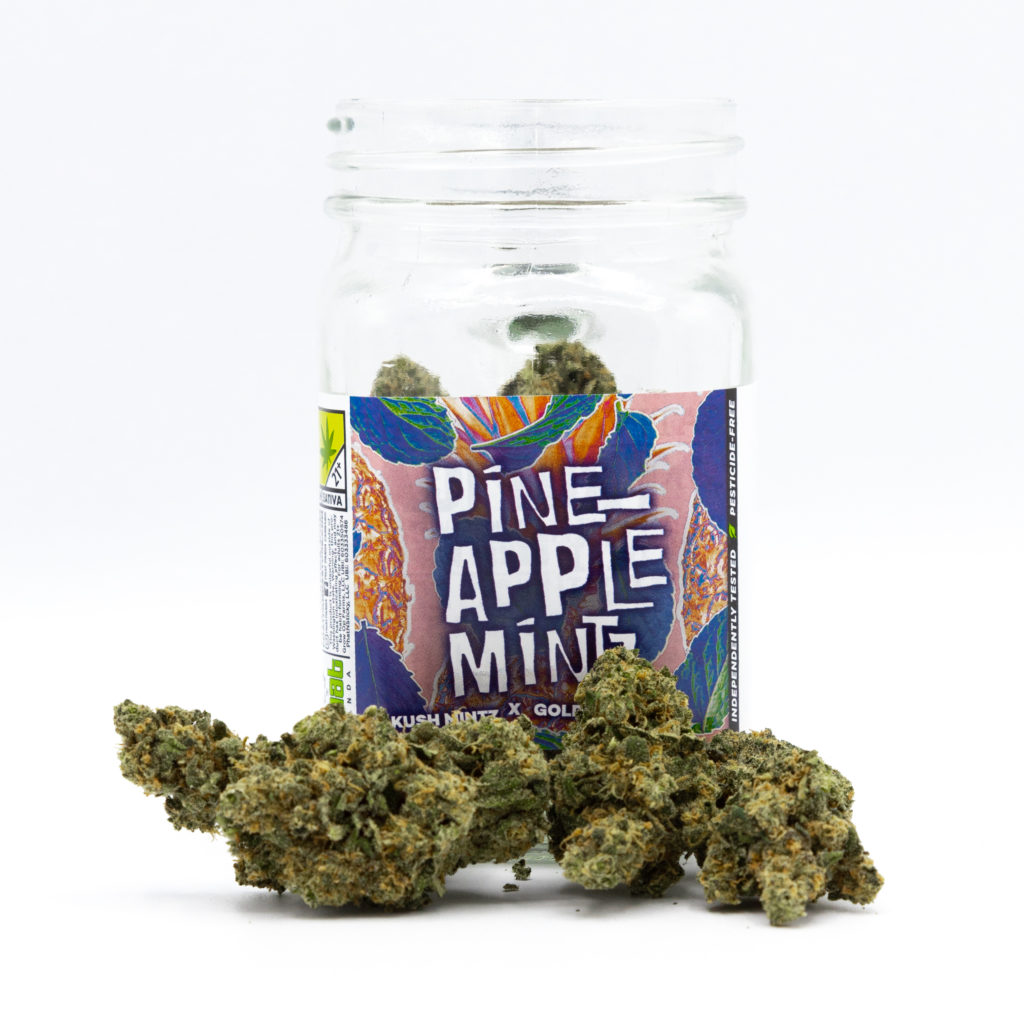 Phat Panda Pineapple Mintz Craft Cannabis